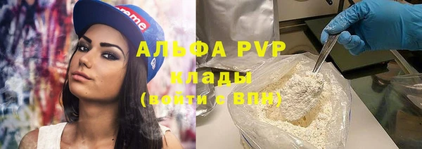 молекула духа Елизово