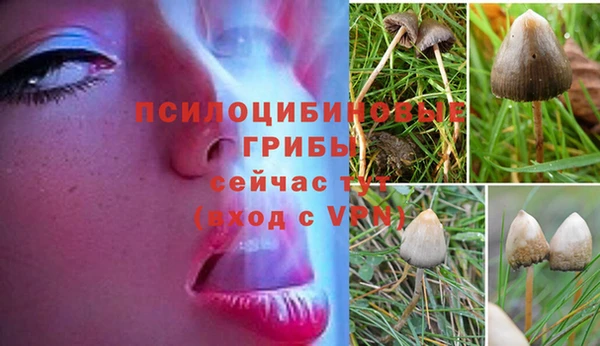 круглые Дмитров